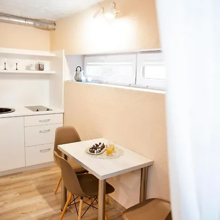 In Garage With Free Parking 카우나스