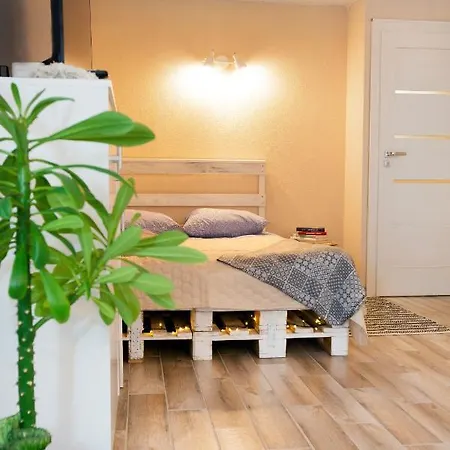 Apartment In Garage With Free Parking