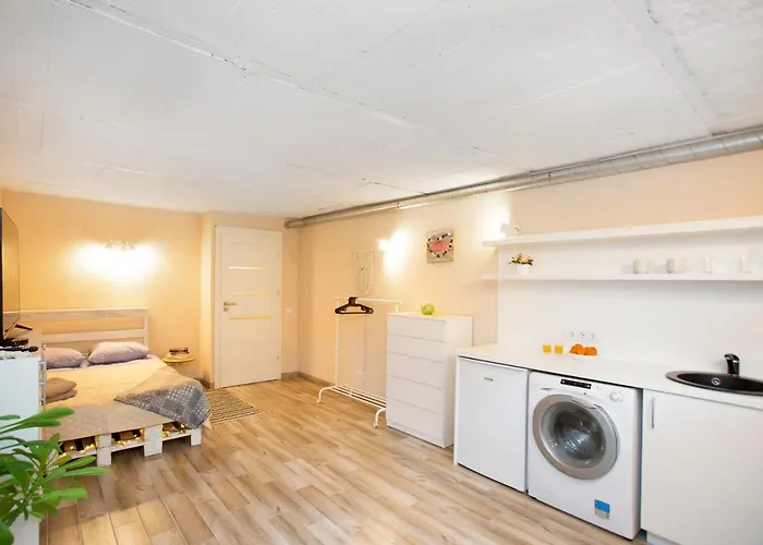 Apartman In Garage With Free Parking *